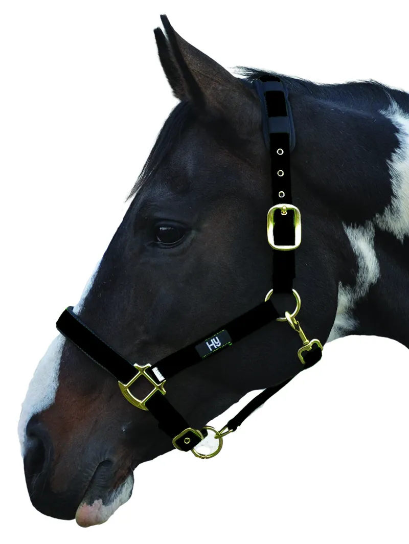 Hy Equestrian Deluxe Padded Head Collar - Black